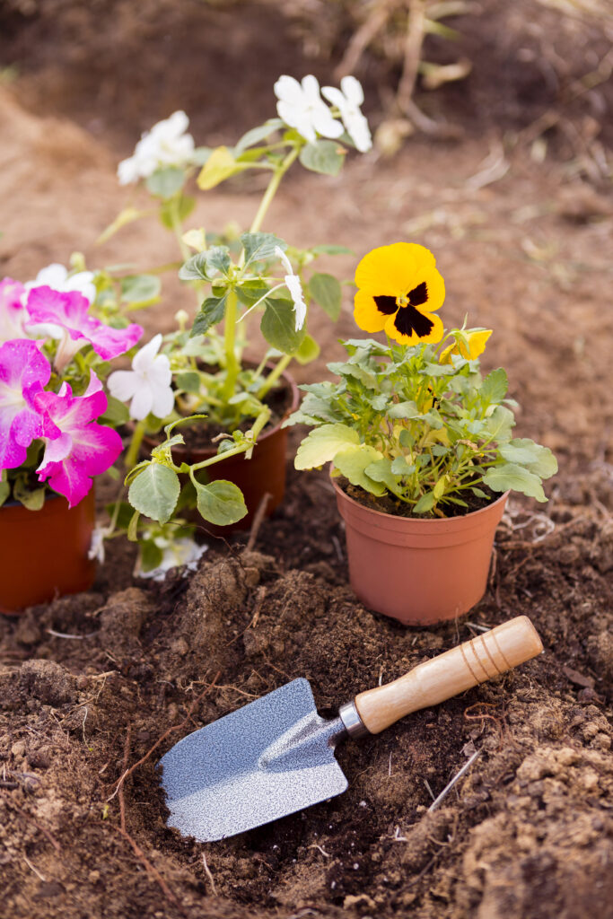 flower pots soil with tool